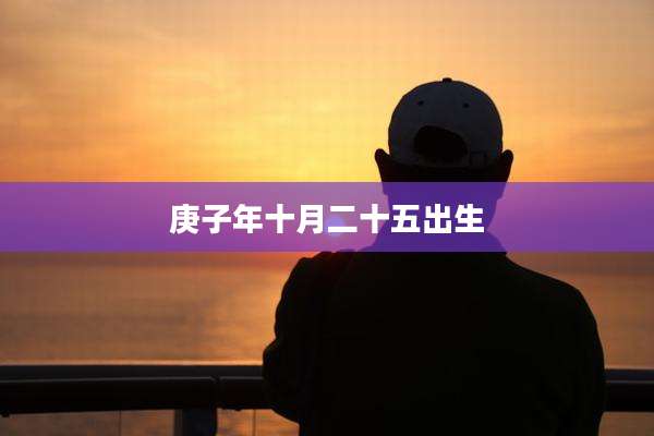 庚子年十月二十五出生