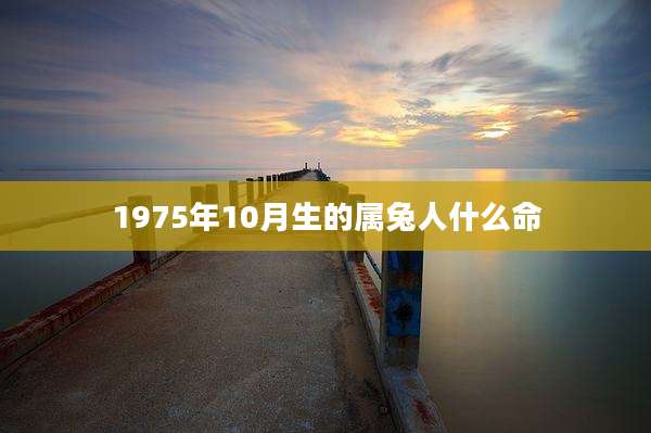 1975年10月生的属兔人什么命