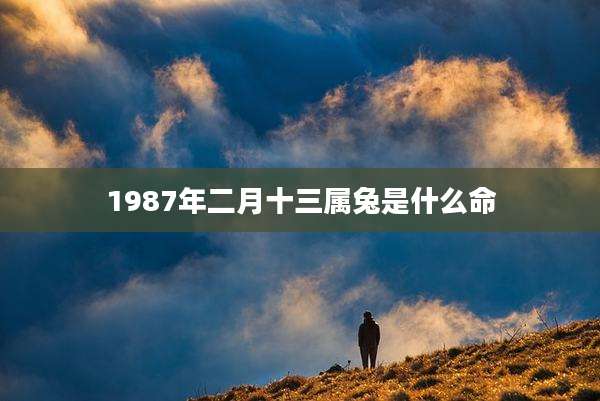 1987年二月十三属兔是什么命