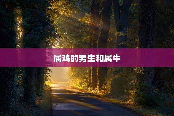 属鸡的男生和属牛