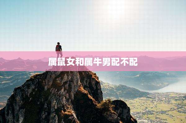 属鼠女和属牛男配不配