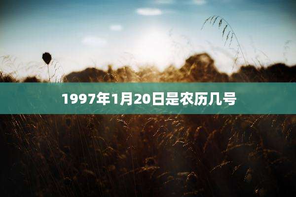 1997年1月20日是农历几号