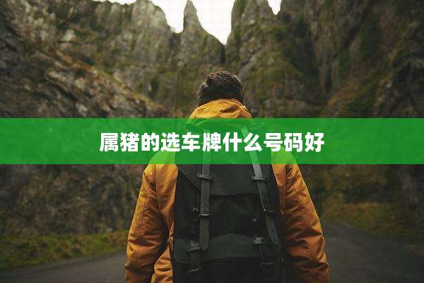 属猪的选车牌什么号码好