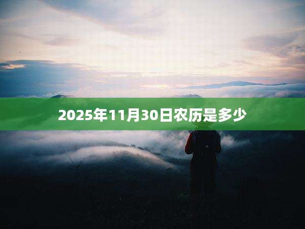 2025年11月30日农历是多少