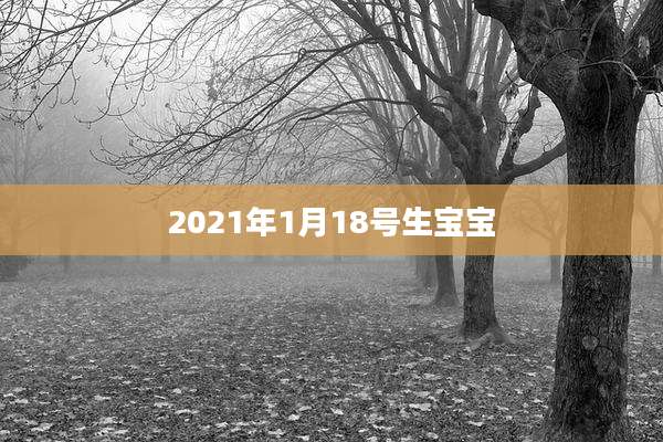 2021年1月18号生宝宝