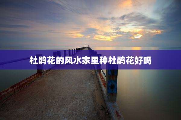 杜鹃花的风水家里种杜鹃花好吗