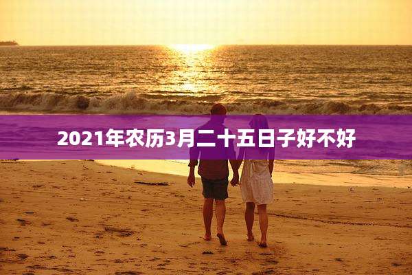 2021年农历3月二十五日子好不好