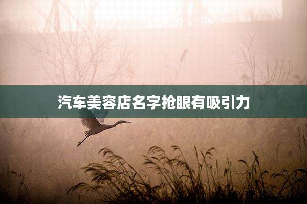 汽车美容店名字抢眼有吸引力