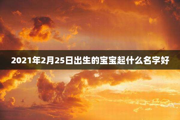 2021年2月25日出生的宝宝起什么名字好
