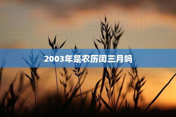 2003年是农历闰三月吗