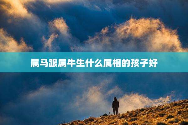 属马跟属牛生什么属相的孩子好