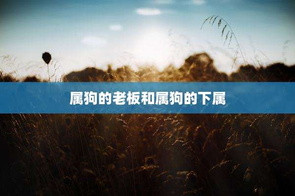 属狗的老板和属狗的下属