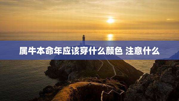 属牛本命年应该穿什么颜色 注意什么