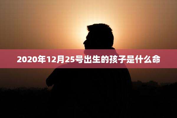 2020年12月25号出生的孩子是什么命