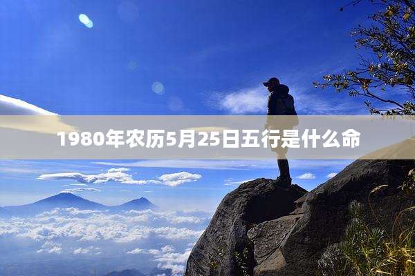 1980年农历5月25日五行是什么命