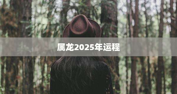 属龙2025年运程