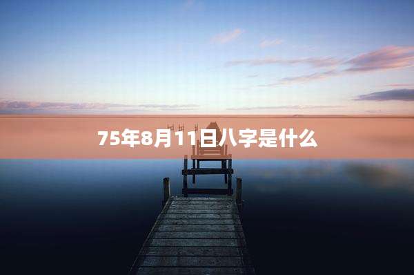75年8月11日八字是什么