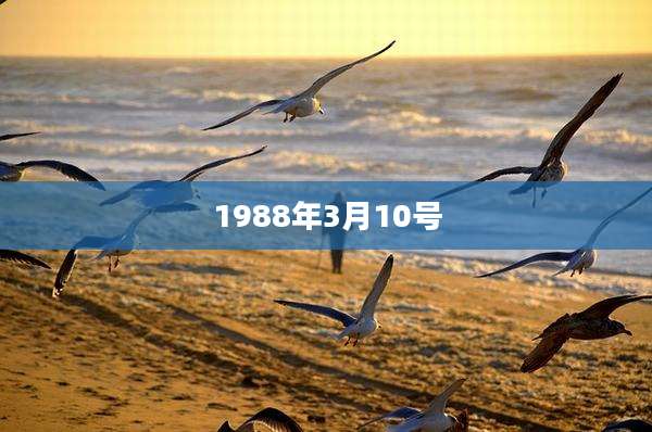 1988年3月10号
