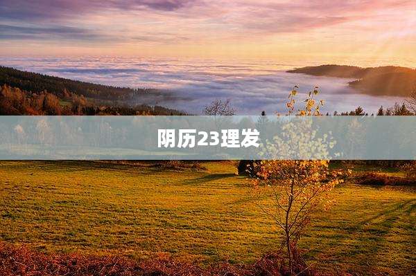 阴历23理发