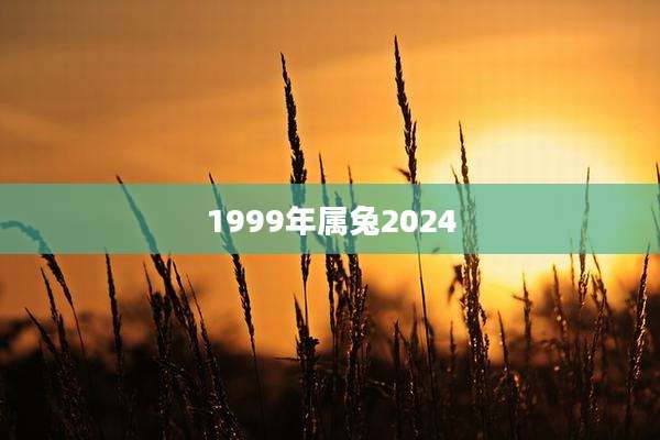 1999年属兔2024