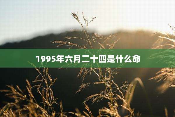 1995年六月二十四是什么命
