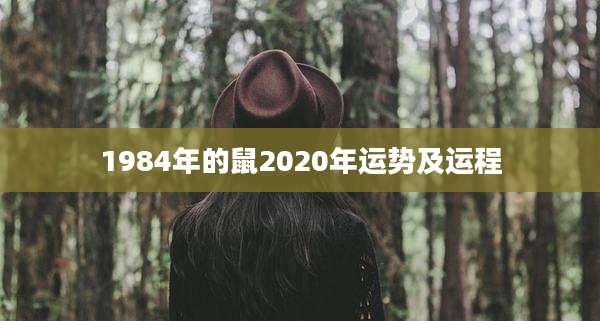 1984年的鼠2020年运势及运程