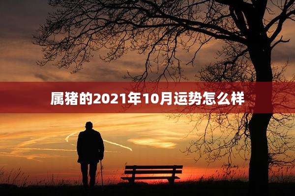属猪的2021年10月运势怎么样