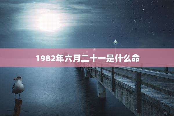 1982年六月二十一是什么命