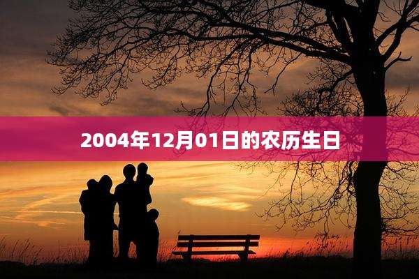 2004年12月01日的农历生日