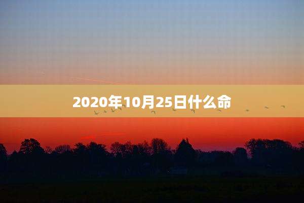 2020年10月25日什么命
