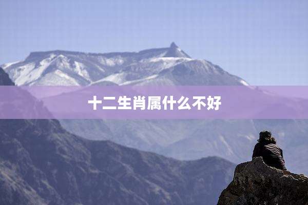 十二生肖属什么不好