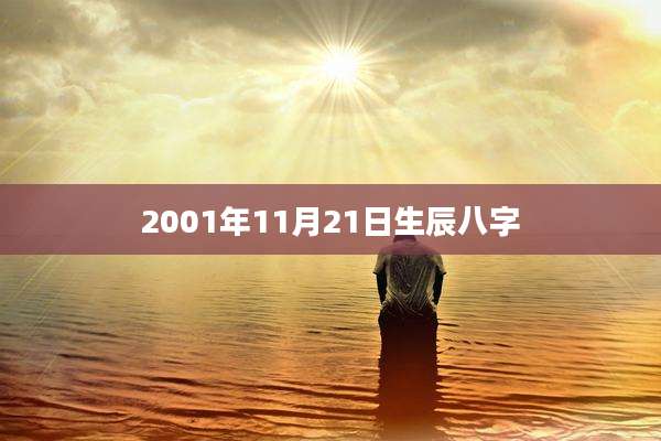 2001年11月21日生辰八字