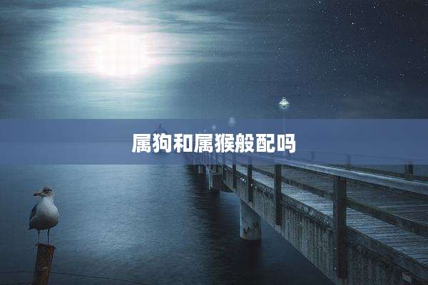 属狗和属猴般配吗
