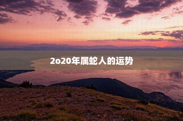 2o20年属蛇人的运势