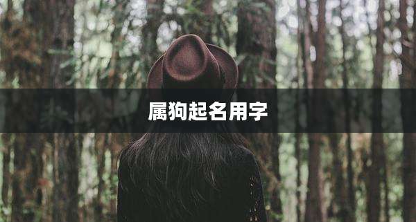 属狗起名用字