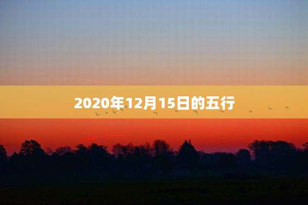 2020年12月15日的五行