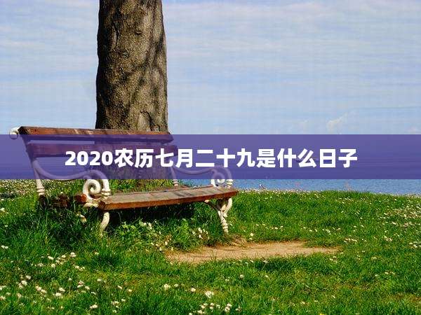 2020农历七月二十九是什么日子