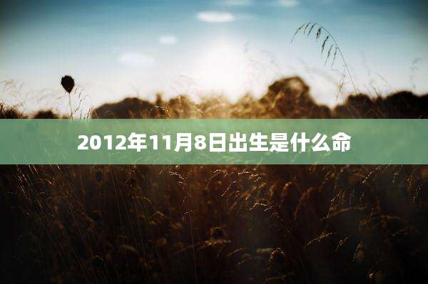 2012年11月8日出生是什么命