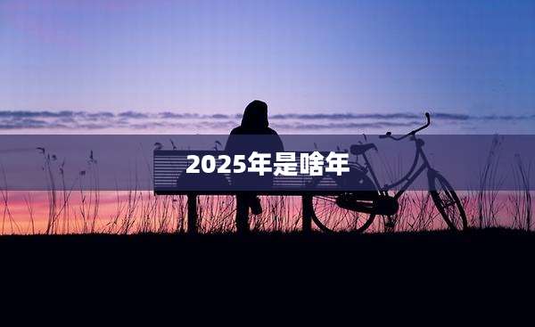 2025年是啥年