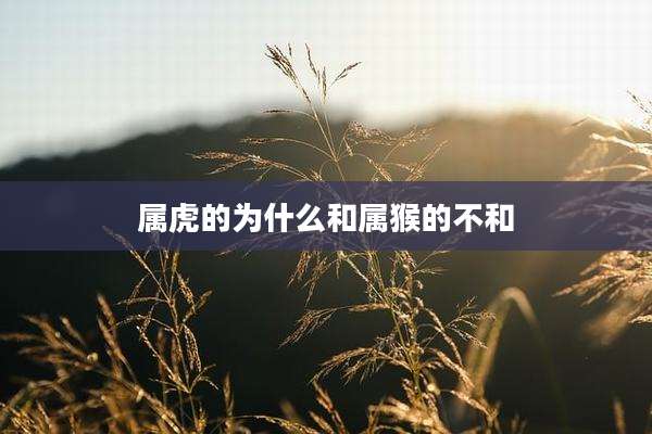 属虎的为什么和属猴的不和