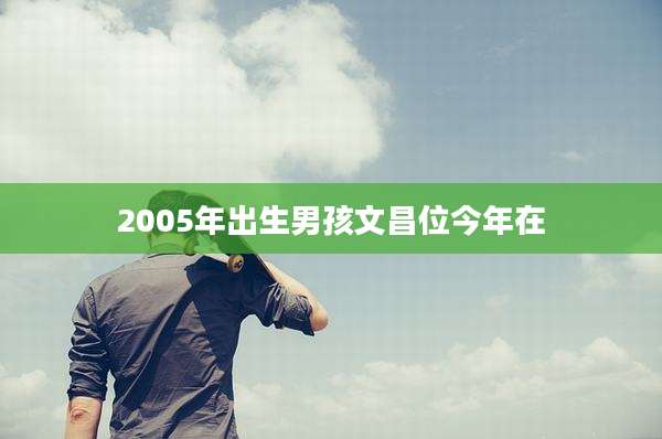 2005年出生男孩文昌位今年在