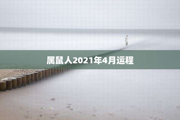属鼠人2021年4月运程