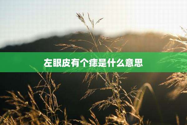 左眼皮有个痣是什么意思
