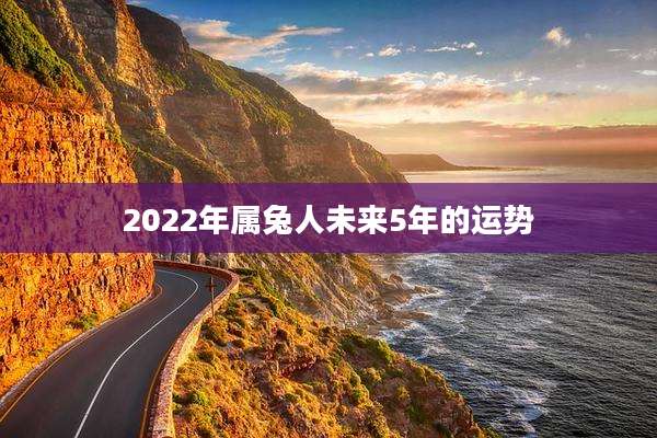 2022年属兔人未来5年的运势