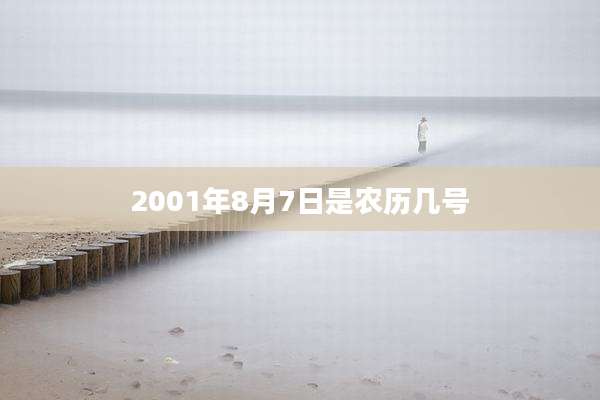 2001年8月7日是农历几号