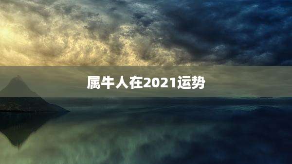 属牛人在2021运势