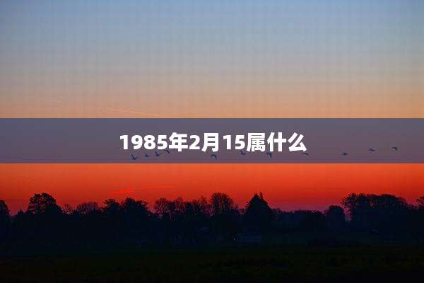 1985年2月15属什么