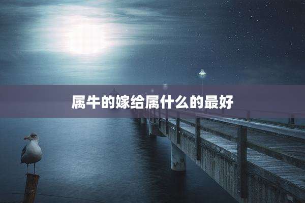 属牛的嫁给属什么的最好