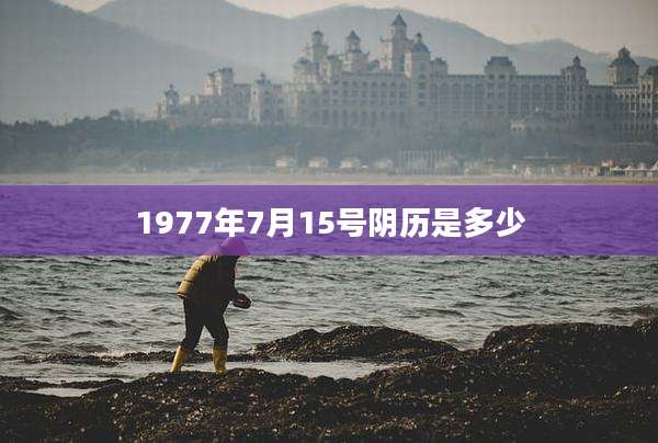 1977年7月15号阴历是多少
