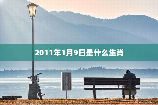 2011年1月9日是什么生肖